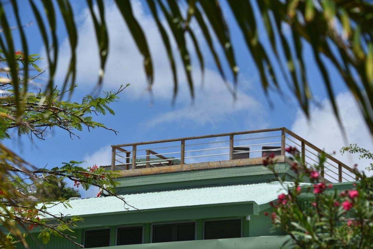 Les Lauriers - Piscine Sur Le Toit - Anse Marcel Appartement Buitenkant foto